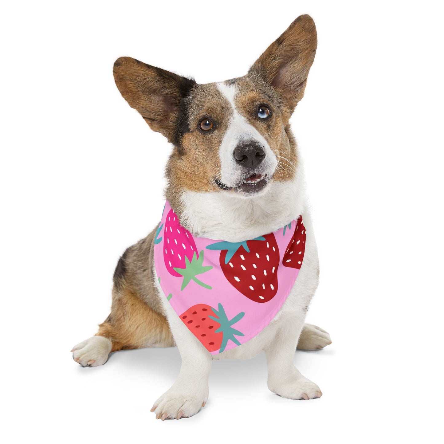 Strawberry Patch Pet Bandana Collar