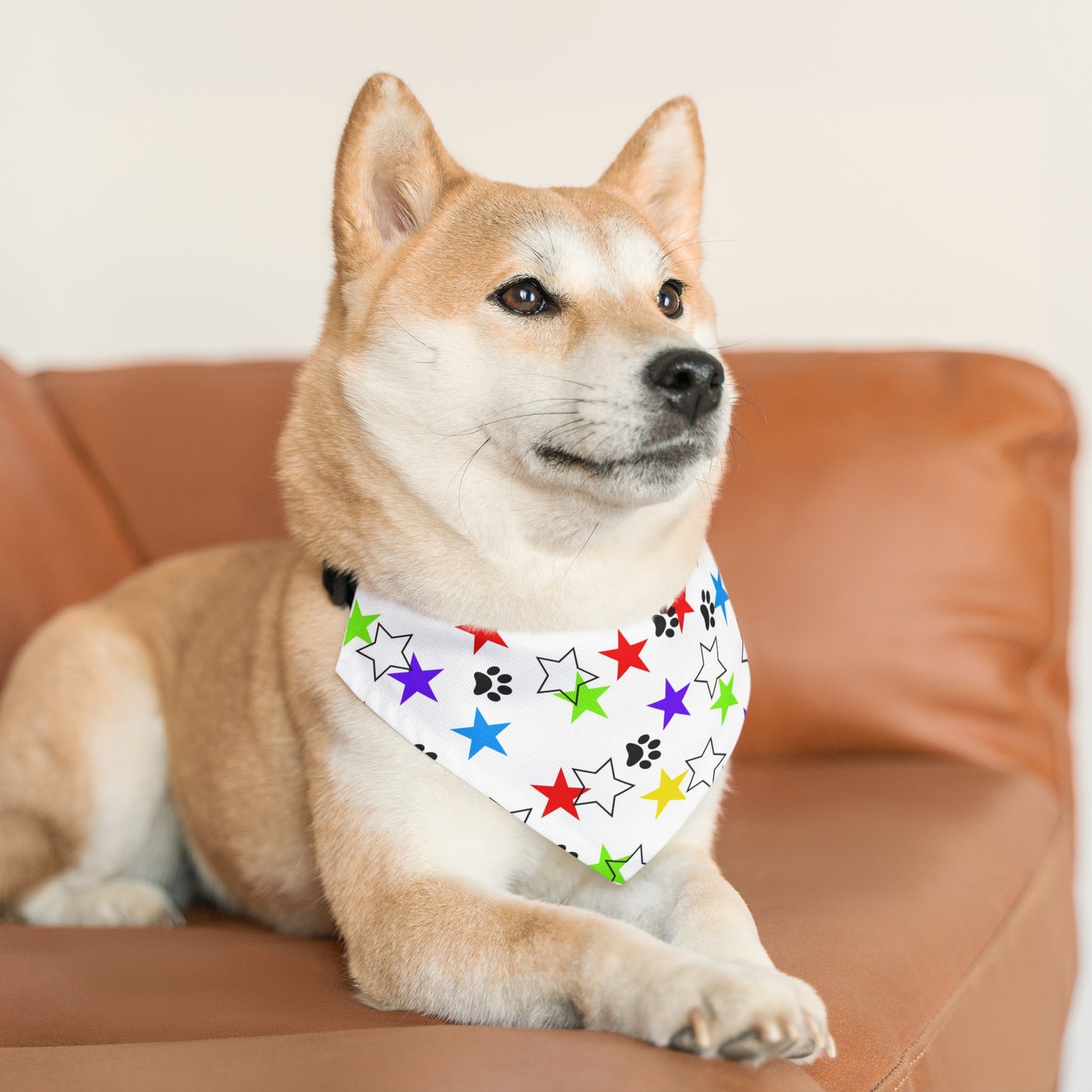 I'm a Star! Pet Bandana Collar