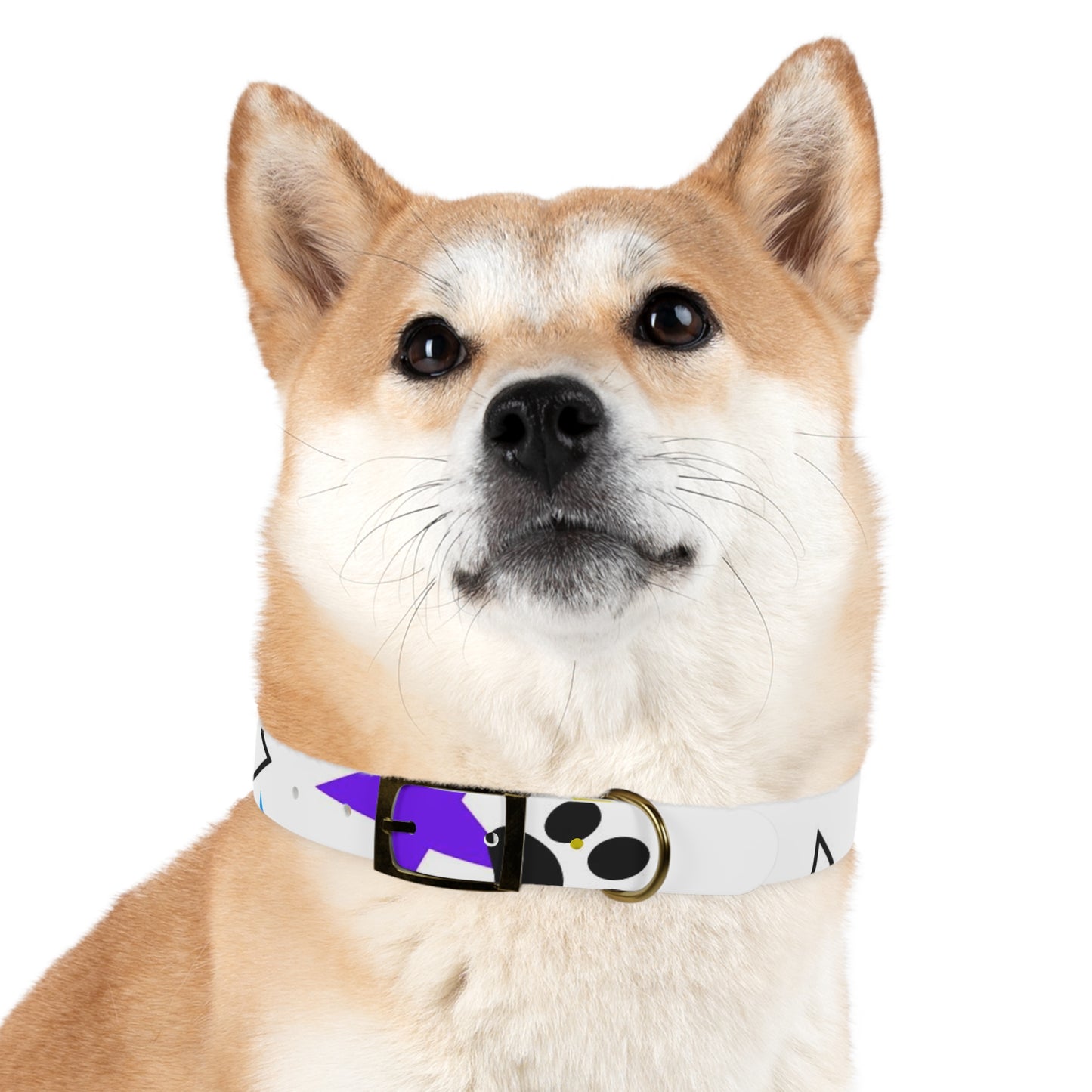 I'm a Star! Dog Collar