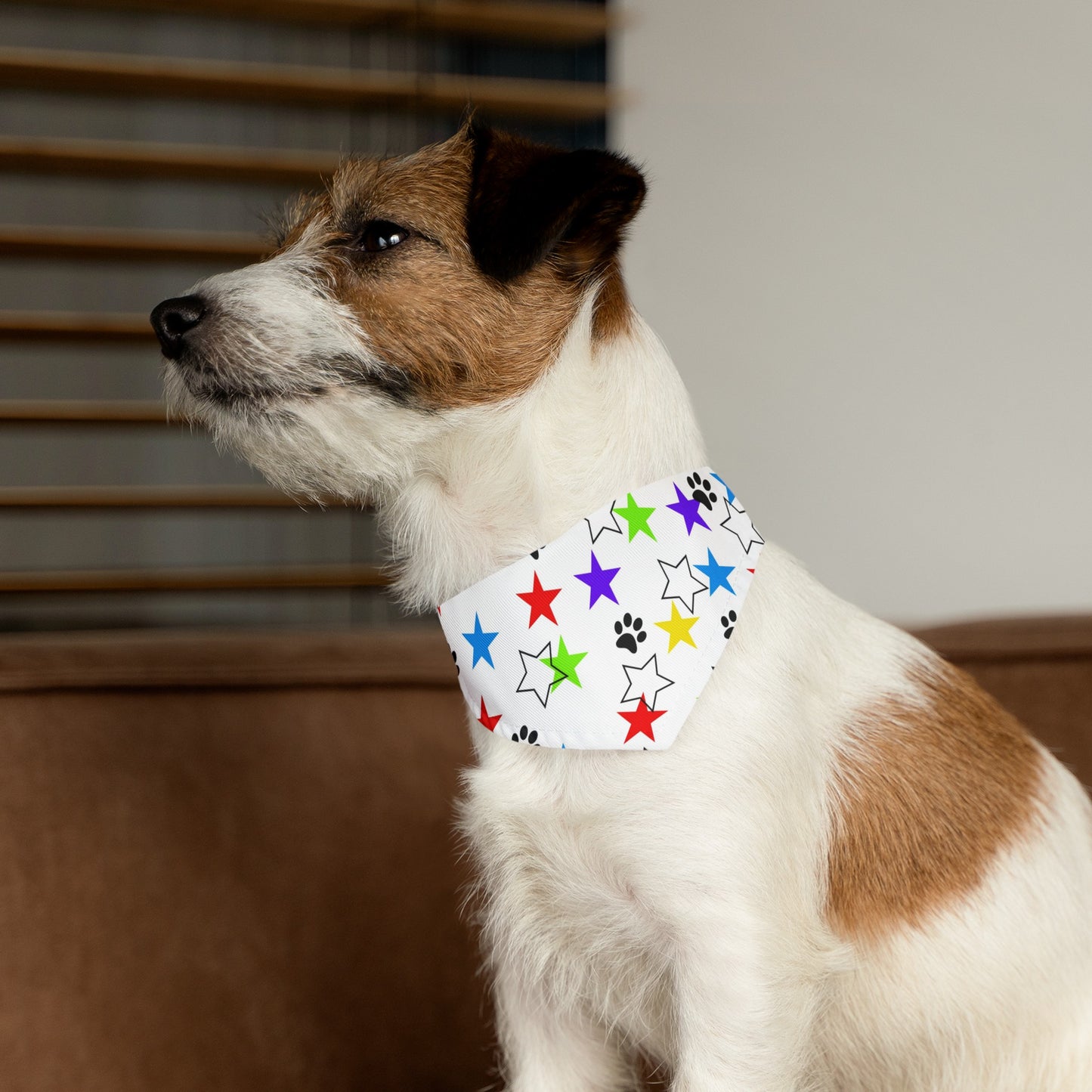 I'm a Star! Pet Bandana Collar