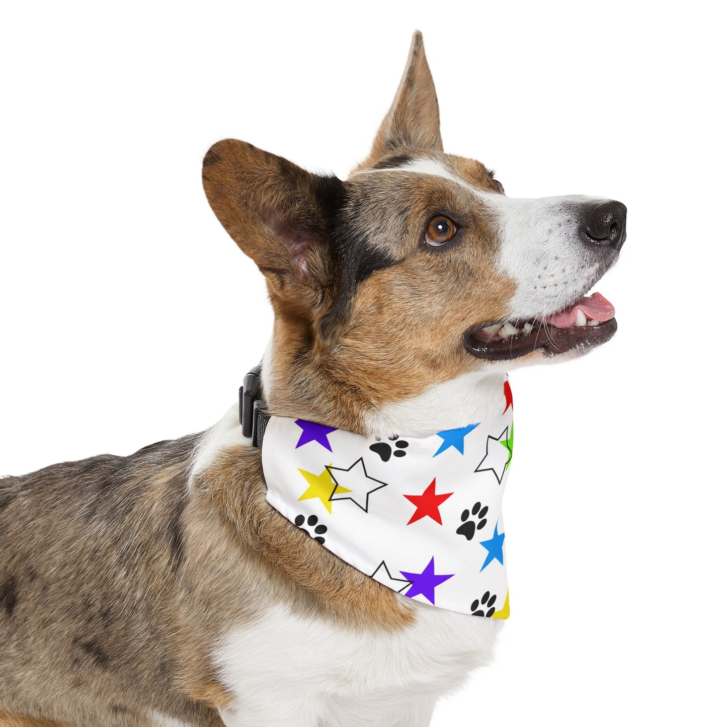 I'm a Star! Pet Bandana Collar