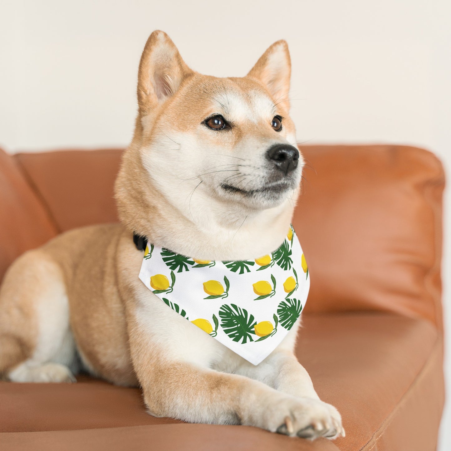 Pet Bandana Collar