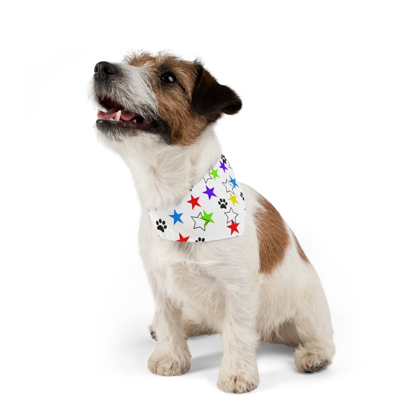 I'm a Star! Pet Bandana Collar