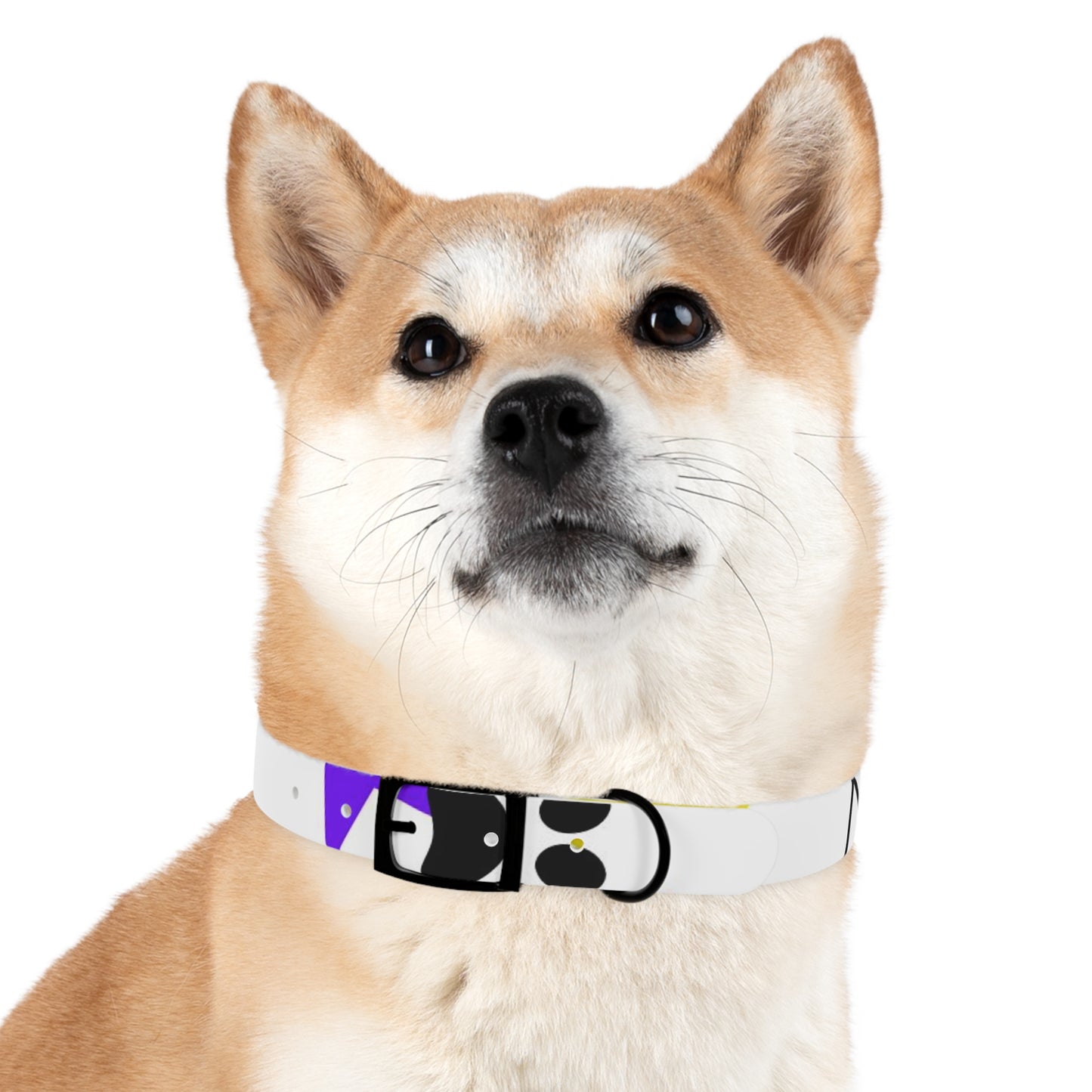 I'm a Star! Dog Collar