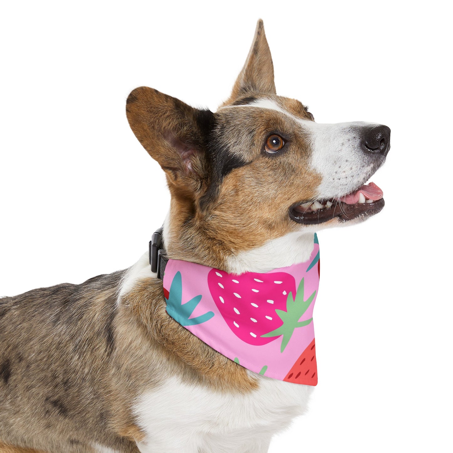 Strawberry Patch Pet Bandana Collar