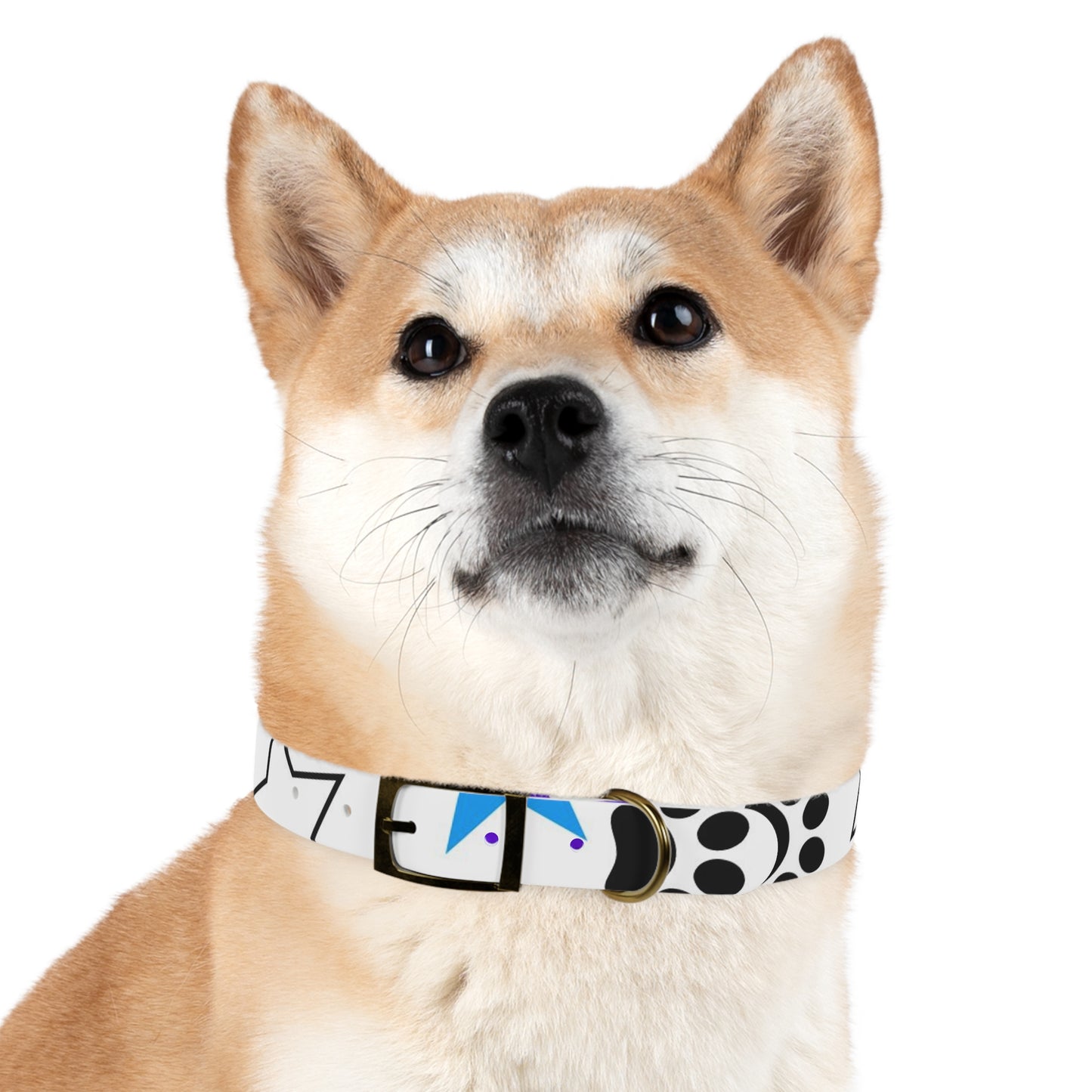 I'm a Star! Dog Collar