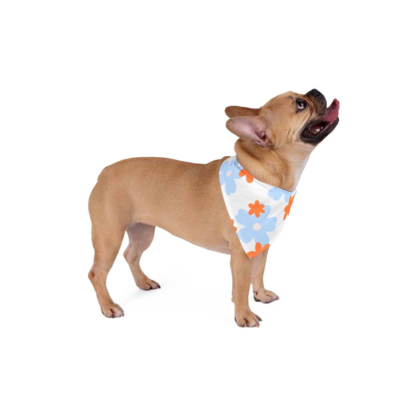 Orange Blossom Pet Bandana