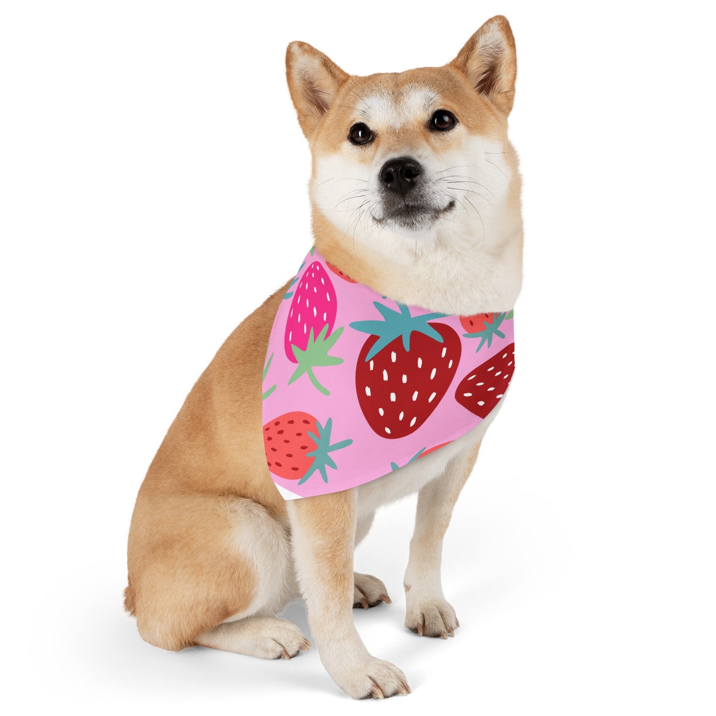 Strawberry Patch Pet Bandana Collar