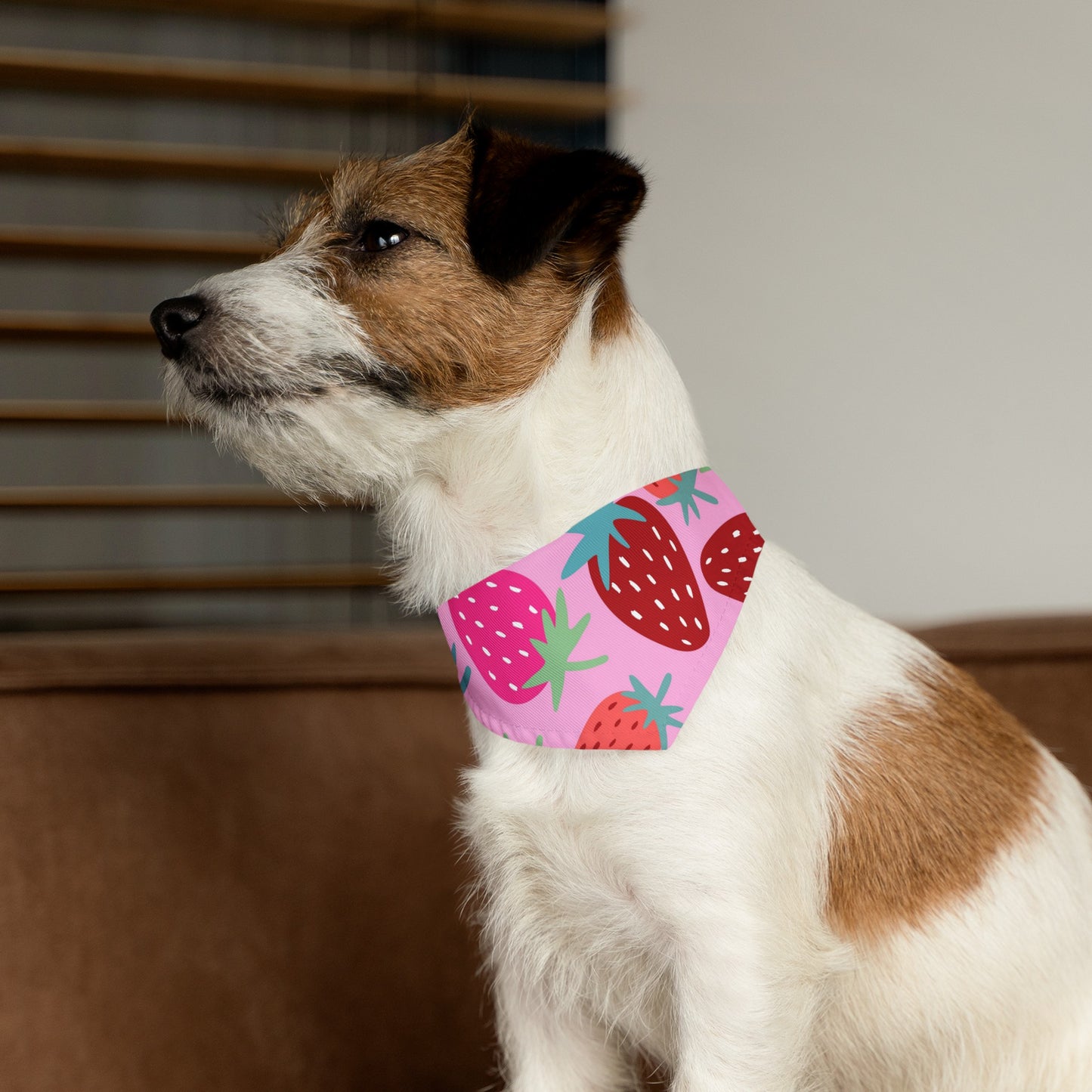 Strawberry Patch Pet Bandana Collar