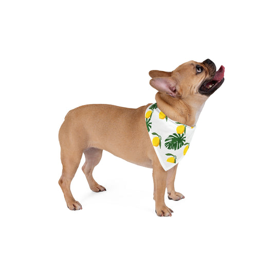 Summer Lemon Large Pet Bandana