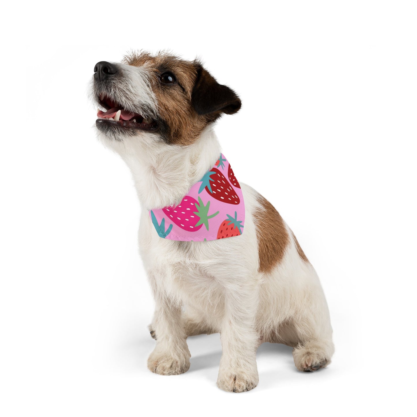 Strawberry Patch Pet Bandana Collar