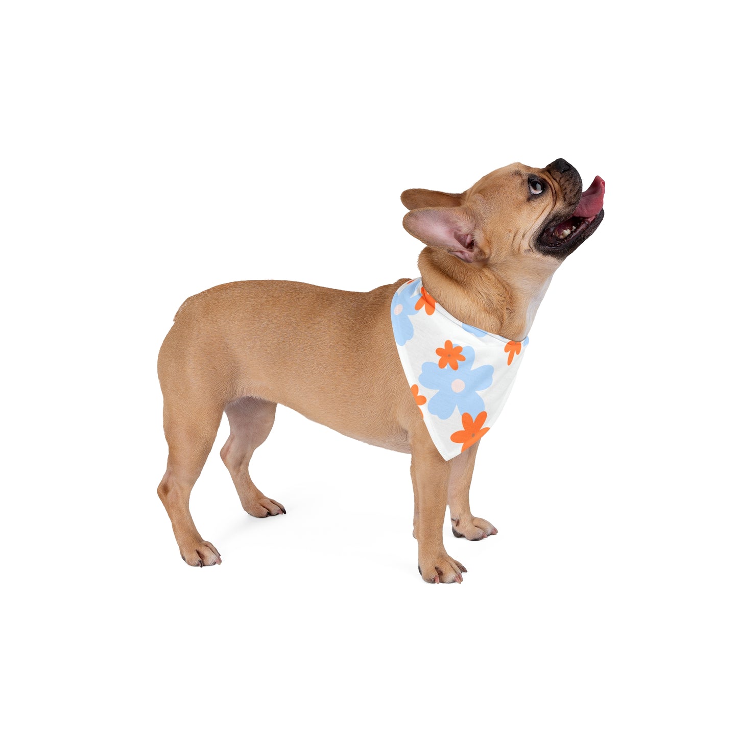 Orange Blossom Pet Bandana