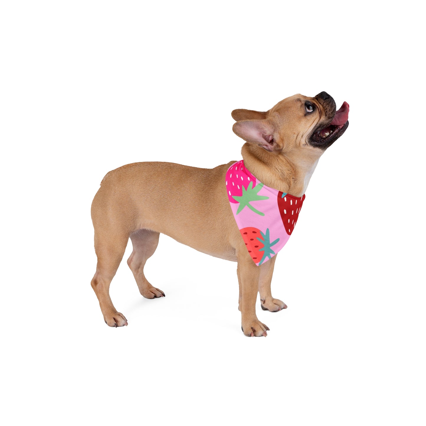 Strawberry Patch Pet Bandana