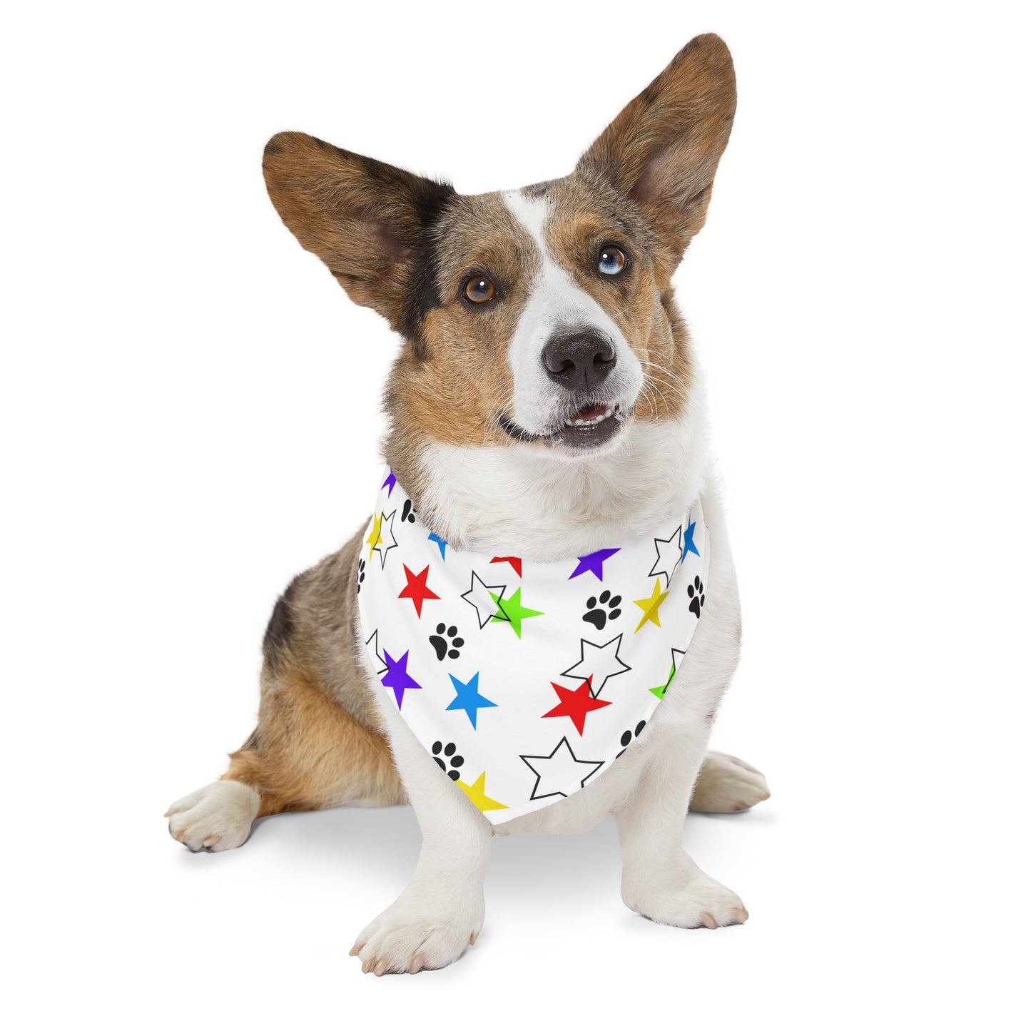 I'm a Star! Pet Bandana Collar