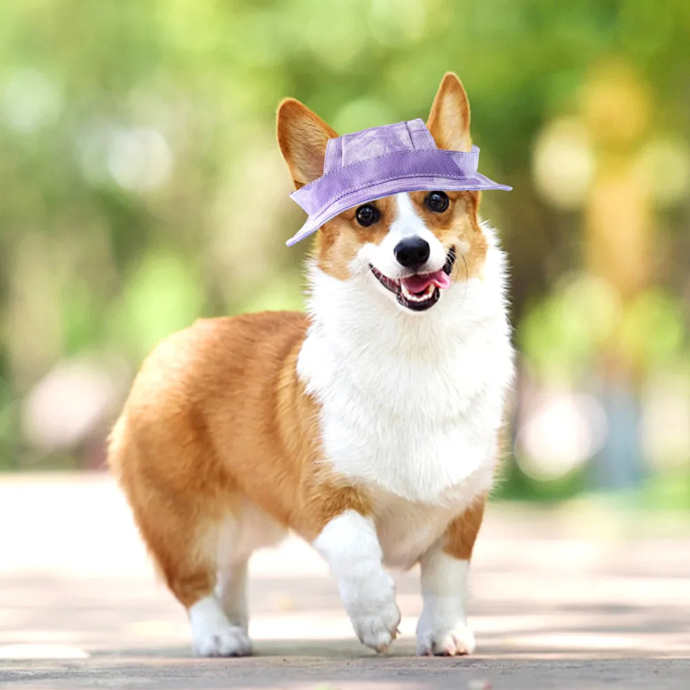 Summer Sunproof Bucket Pet Hat